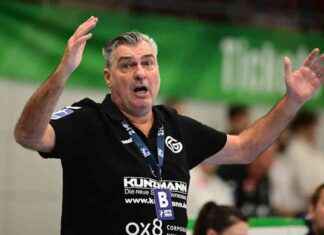 Neuer Trainer gesucht: TV Großwallstadt nach Entlassung von Michael Roth news-28092024-022519