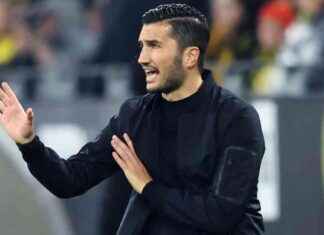 BVB-Erkenntnisse aus Aufholjagd: Lernen durch Leiden news-28092024-023143