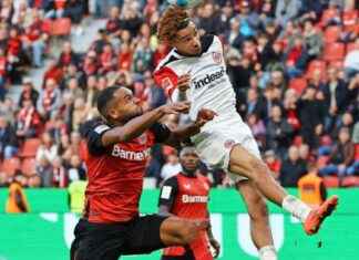 Künstlerisches Bundesliga-Duell: Leverkusen vs. ?? news-20102024-211642