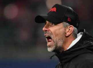 Champions League: Leipzig verliert 0:1 gegen Liverpool news-24102024-025506