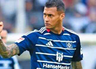 Mittelstürmer Davie Selke: Traditionelle Spielweise beim Hamburger SV news-30102024-140548