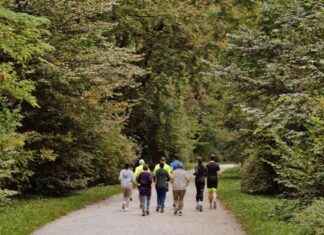 Laufgruppe als Antidepressivum: Die positiven Effekte von gemeinsamem Sport news-31102024-094749