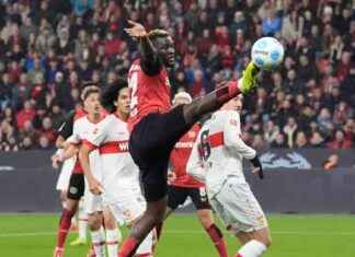 Stuttgart holt Punkt gegen Leverkusen news-02112024-044850