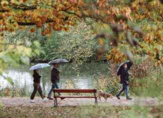 Die gesundheitlichen Vorteile des Spazierengehens – Experten-Tipps für mehr Bewegung news-12112024-100156