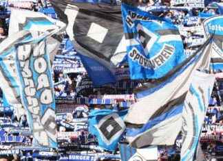 Hamburger SV: Gewinn erwirtschaftet und Hoffnung auf Bundesliga-Aufstieg news-16112024-110713