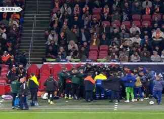 Ex-Bundesliga-Star Adam Szalai kollabiert auf ungarischer Bank – Zustand stabil news-17112024-010734