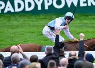 Tragödie bei Pferderennen in England – Kommentator entsetzt news-17112024-221011