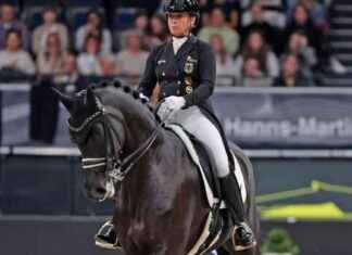 Die aufstrebende Stute Wendy von Isabell Werth: Ein Blick auf ihre beeindruckende Entwicklung news-18112024-051350