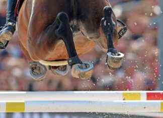 Reiten: FN vor tiefgreifender Spaltung bei Präsidentenwahl news-25112024-235430