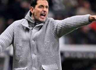 Interview mit Eintracht Frankfurts Trainer Dino Toppmöller: „Maximales Risiko angestrebt“ nterview-mit-eintracht-frankfurts-trainer-dino-toppmller-maximales-risiko-angestrebt