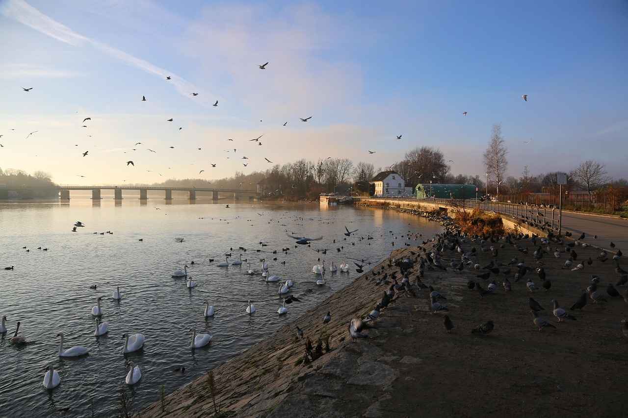 Aufstellungen: Teilnehmer: FC Bayern München Gegen RB Leipzig – Trainer Setzen Auf Diese Taktik 5 Fanunterstützung und Atmosphäre