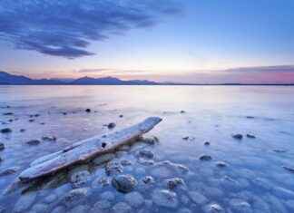 Aufstellungen: Teilnehmer: Feyenoord Gegen FC Bayern München – Das Sind Die Startformationen Aufstellungen: Teilnehmer: Feyenoord Gegen FC Bayern München – Das Sind Die Startformationen