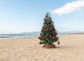 Aufstellungen: Teilnehmer: RCD Mallorca gegen Real Madrid Aufstellungen: Teilnehmer: RCD Mallorca gegen Real Madrid