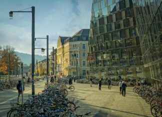 Aufstellungen: Teilnehmer: SC Freiburg Gegen FC Bayern München – Trainer Vertrauen Diesem Team Aufstellungen: Teilnehmer: SC Freiburg Gegen FC Bayern München – Trainer Vertrauen Diesem Team