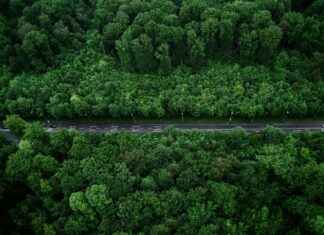 Aufstellungen: Teilnehmer: VfB Stuttgart Gegen Borussia Dortmund – Wer Spielt Von Beginn An? Aufstellungen: Teilnehmer: VfB Stuttgart Gegen Borussia Dortmund – Wer Spielt Von Beginn An?