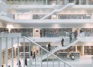 Aufstellungen: Teilnehmer: VfB Stuttgart Gegen Young Boys – Wer Startet In Der Europa League? Aufstellungen: Teilnehmer: VfB Stuttgart Gegen Young Boys – Wer Startet In Der Europa League?