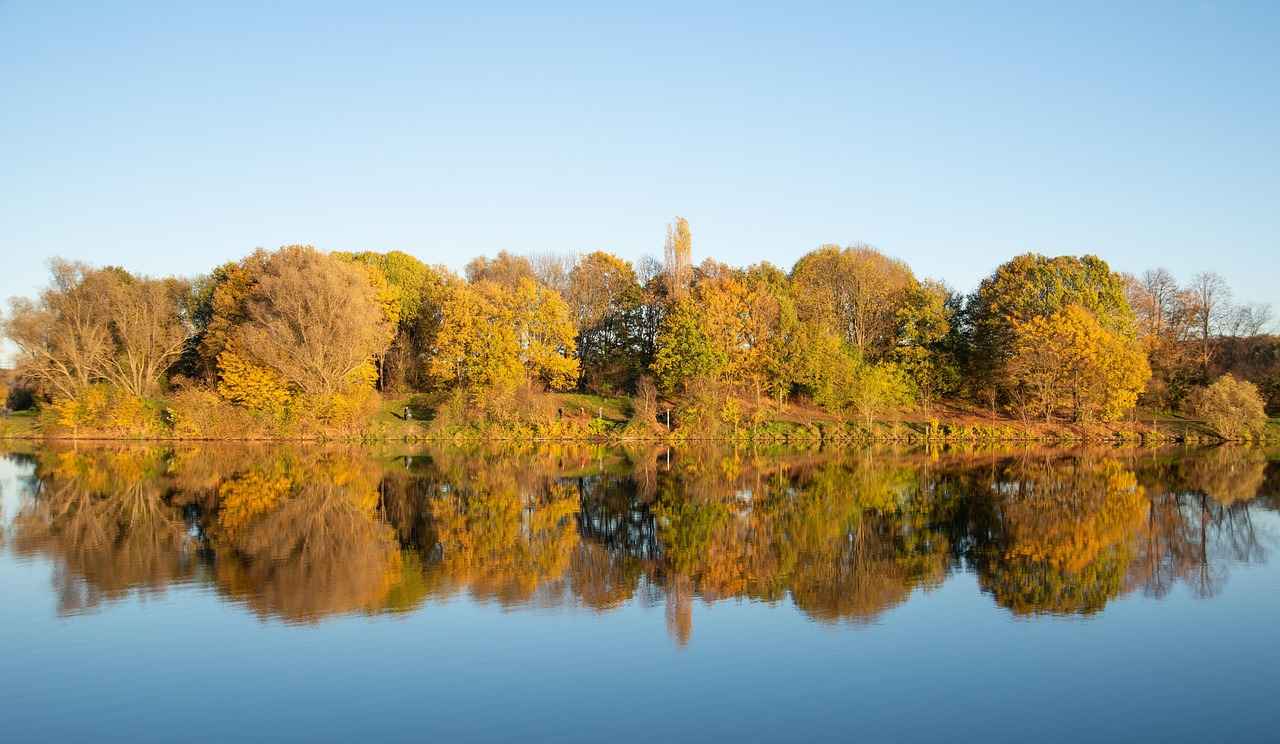 Aufstellungen: Teilnehmer: VfL Bochum Gegen FC Bayern München – Diese Elf Beginnt Heute 2 FC Bayern München: Die Favoritenrolle