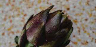 Teilnehmer: Atalanta Bergamo gegen Bayer Leverkusen Statistiken Teilnehmer: Atalanta Bergamo gegen Bayer Leverkusen Statistiken