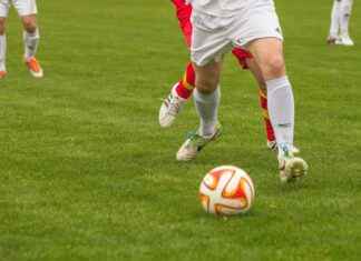 Teilnehmer: Borussia Dortmund Gegen FC Bayern München Statistiken – Das Sagen Die Zahlen Teilnehmer: Borussia Dortmund Gegen FC Bayern München Statistiken – Das Sagen Die Zahlen