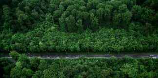 Ticker: Teilnehmer: VfB Stuttgart gegen Borussia Dortmund Ticker: Teilnehmer: VfB Stuttgart gegen Borussia Dortmund