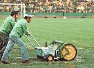 100 Jahre Waldstadion Frankfurt: Sportgeschichte im Fokus 100-jahre-waldstadion-frankfurt-sportgeschichte-im-fokus