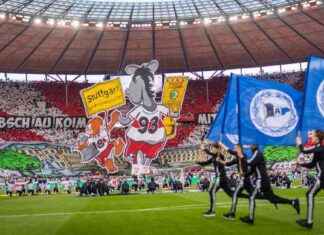 DFB-Pokalfinale: Stuttgart und Bielefeld schaffen seltene Symbiose dfb-pokalfinale-stuttgart-und-bielefeld-schaffen-seltene-symbiose