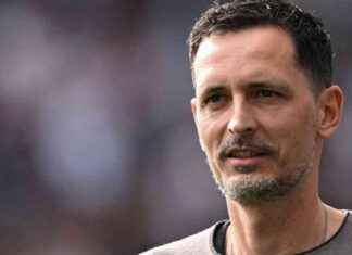 Eintracht Frankfurt wagt mutigen Schritt mit Dino-Toppmöller-Vertragsverlängerung eintracht-frankfurt-wagt-mutigen-schritt-mit-dino-toppmller-vertragsverlngerung