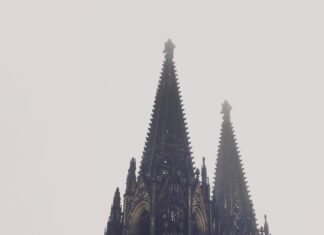 Aufstellungen: Teilnehmer: HSV Gegen 1. FC Köln – Wer Gewinnt?