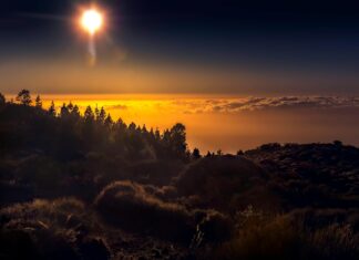 Teilnehmer: Spanien Nationalmannschaft Gegen Deutsche Fussballnationalmannschaft – Wer Gewinnt Das Duell?