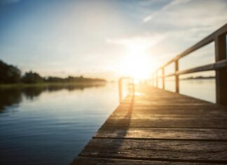 Teilnehmer: Holstein Kiel Gegen Borussia Dortmund – Wer Gewinnt?