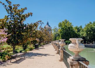 Aufstellungen: Teilnehmer: Real Madrid Gegen Borussia Dortmund – Wer Gewinnt?