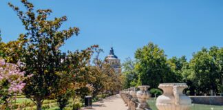 Aufstellungen: Teilnehmer Lille OSC Gegen Real Madrid Enthüllt!