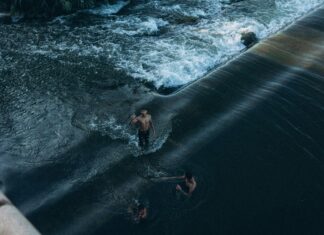 Teilnehmer: VfB Stuttgart Gegen Young Boys – Wer Geht Als Sieger?