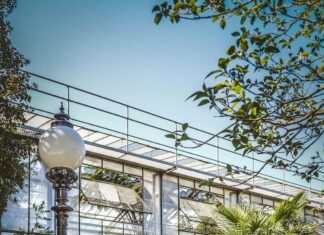 Teilnehmer: BVB Gegen Bayer Leverkusen Statistiken Enthüllen Faszination