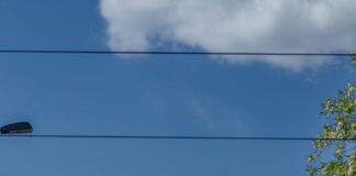 Aufstellungen: Teilnehmer: AS Rom Gegen Eintracht Frankfurt – Wer Gewinnt?