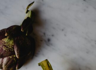 Aufstellungen: Teilnehmer Der Spannenden Begegnung Atalanta Bergamo Gegen Bayer Leverkusen