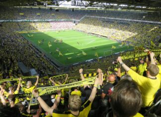 Teilnehmer: Borussia Dortmund Gegen TSG 1899 Hoffenheim – Wer Gewinnt?