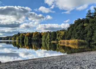 Aufstellungen: Teilnehmer Von Hertha BSC Gegen HSV Enthüllt!
