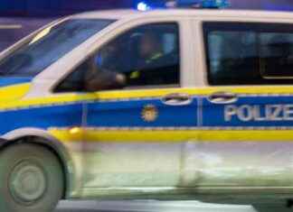 Polizist bewusstlos geschlagen: Brutale Attacke vor Regionalligaspiel polizist-bewusstlos-geschlagen-brutale-attacke-vor-regionalligaspiel